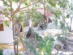 Villa Mia